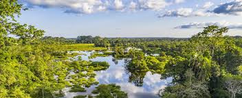 In june 2020, a new outbreak of the ebola virus was announced in équateur province. R Congo Signs Us 65 Million Letter Of Intent