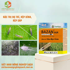 Bazan 5GR