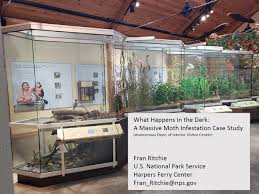 2024 MuseumPests and Pest Odyssey Joint Public Presentation Session