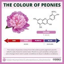 Biochemistry Page 2 Compound Interest Teaching Chemistry Study Chemistry Biochemistry