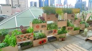 Urban Rooftop Farms In Singapore Roof Garden Design Rooftop Garden Garden Design Plans