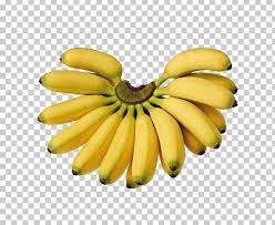 Line 1 quart mold with. Saba Banana Cooking Banana Pisang Goreng Lady Finger Banana Png Clipart Auglis Banana Banana Family Cavendish