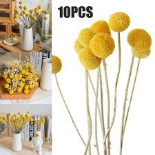 Maybe you would like to learn more about one of these? Dagu Golden Ball Dried Flower Bouquet Diy Home Wedding Party Floral Decoration Buy From 4 On Joom E Commerce Platform