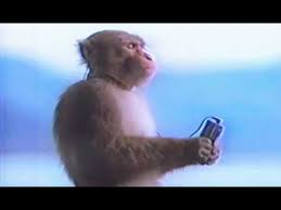 Monkey Gets Depressed While Listening To His Walkman Circa 1982 Youtube