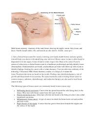 Known risk factors for male breast cancer include: Breast Cancer Awareness Males