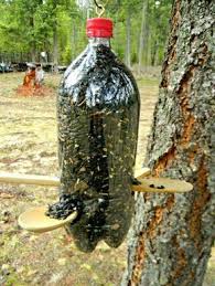 1001 Idees Creatives Pour Mangeoire Oiseaux A Fabriquer Soi Meme Fabriquer Mangeoire Oiseaux Mangeoire Oiseau Et Idees Nichoir