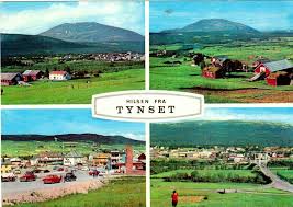Avstander fra tynset til andre kommuner i norge. Hedmark Fylke Tynset Kommune 4 Bilders Kort Utg Aune Brukt 1969