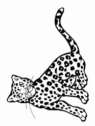 The world s best photos of free and getcoloringpagesorg flickr. Snow Leopard Pictures To Print Coloring Home