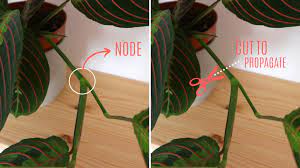 Pin On Inspire