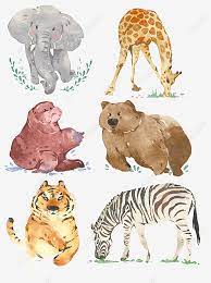 Gambar haiwan terbaik dari 2017. Gambar Haiwan Liar Berwarna Putih Gajah Cat Air Haiwan Liar Png Dan Psd Untuk Muat Turun Percuma