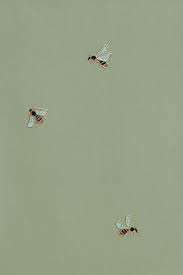 Prefer to work with a green color scheme? Sage Green Aesthetic Hintergrundbild Nawpic