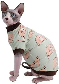 Dyck's soon noticed that the cat behaved very different and didn't get along with her other sphynx cats, so she sold vlad. Dinosaur Design Sphynx Hairless Cat Clothes Cute Breathable Summer Cotton Shirts Cat Costume Pet Clothes Round Collar Kitten T Shirts With Sleeves Cats Small Dogs Apparel Apparel Cats