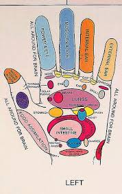 Hand Reflexology Points Reflexology Hand Reflexology