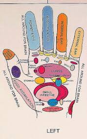 hand reflexology points reflexology hand reflexology