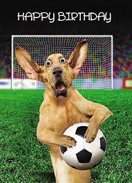 Happy birthday, my wonderful brother. Image Result For Images Of Soccer Happy Birthday Happy Birthday Football Dog Birthday Card Happy Birthday
