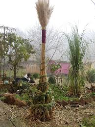 Pampasgras Flechten Gras Grass Braiding Garten Deko Garten Garten Ideen