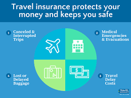 The plan details more closely resemble a traditional health insurance plan in that. Travel Insurance Reviews For 2021 Travel Insurance Review