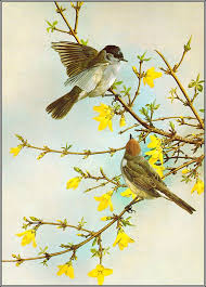 Turkiye Nin En Buyuk Paylasim Sitesi Bird Prints Vintage Birds Birds