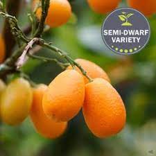 Janet Hsu Hsu0310 - Profile Pinterest