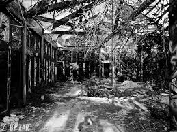 Verlassenes Spassbad Blub Berlin Urbex Lost Places Berlin Erlebnisbad Verlassene Orte Orte