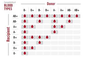 3 000 blood donors needed to replenish spore stock of o a