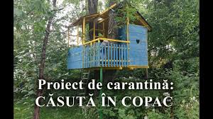 De la 900 lei cu tva. Am Construit Singur O Casuta In Copac Short Diy Tree House Youtube