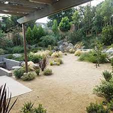 Southwest boulder & stone atrodas palm springs. Amazon Com Southwest Boulder Stone Landscape Decomposed Granite 20 Pounds Natural Crushed Rock Fines Ground Cover For Landscaping Gardening Pathways And More Palm Springs Gold Garden Outdoor