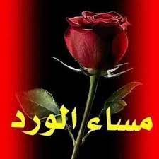 مساؤؤؤؤ greetings good evening plants