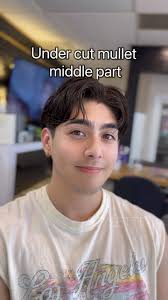STYLETTE #mullet #middlepart #undercut #haircut #hairstyle #ochairstylist  #ochair #buenapark