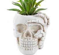 Halloween bloempot - unieke Halloween-decoraties in ...