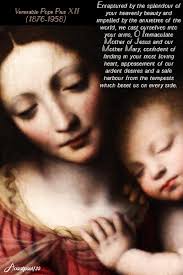 solemnityoftheimmaculateconception