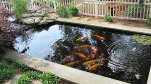 Diamond Landscapes Water Features Koi Pond Design Pond Design Backyard Water Feature