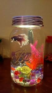 Betta Need 2 5 Gallons A Place To Hide Temperatures Of 72 80 Degrees Fahrenheit And A Filter This Doesn T Provid Cool Fish Tanks Betta Fish Beta Fish Tank