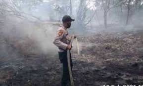 Kepala dinas pemadam kebakaran dan penyelamatan ( dpkp) h.eddiwan shasby mengatakan, benar telah terjadi kebakaran dikapal motor pengangkut kelapa yang sedang bersandar di rt 03 rw 04 jl. Kapal Pengangkut Kelapa Terbakar Di Sungai Salak