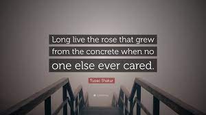 The following tupac quotes of the young rapper will give you insights into his personality and the outlaw spirit he was so popular for. Tupac Shakur Quote Long Live The Rose That Grew From The Concrete When No One Else