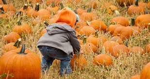 International phonetic alphabet (ipa) ipa : Learn How To Say Pumpkin And Orange In French Extra Activities Educatall