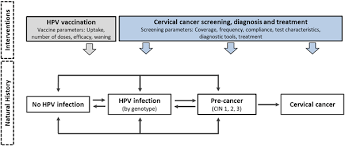 Cervical cancer causes around 266 colombo n, carinelli s, colombo a, et al; Plos Medicine Human Papillomavirus Vaccination For Adults Aged 30 To 45 Years In The United States A Cost Effectiveness Analysis