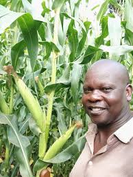 A stray seed from this years plant. 😊