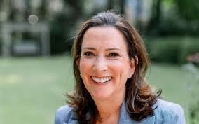 Lubin Loses Bid for State Senate Seat