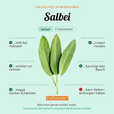 Salbei Salbei Gesunde Nahrungsmittel Gewurze Und Krauter