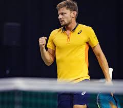 Born 7 december 1990) is a belgian professional tennis player whose career high ranking is world no. David Goffin Facebook