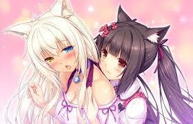 Anime Nekopara Chocola Nekopara Coconut Nekopara 1080p Wallpaper Hdwallpaper Desktop Anime Cat Girl Animal Ears