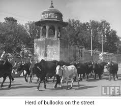 Lahore 1946