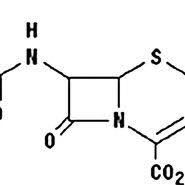 Image result for Cefprozil