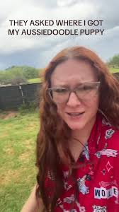 Why Does My Dog Not Look Like An Aussie Doodle