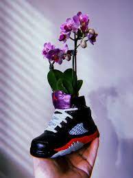 Jordan Iv Sneaker Planter Ceramic Sneakerpot Handmade Ceramics Sneakers Sneaker Head