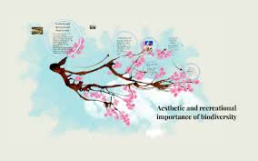 Aesthetics is broader in scope than the philosophy of art, which comprises one of its branches. Aesthetic And Recreational Importance Of Biodiversity By