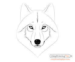Outline wolf icon illustrationvector animal sign stock vector. How To Draw A Wolf Face Head Step By Step Easydrawingtips