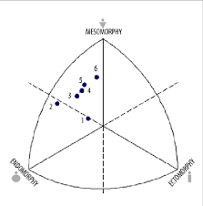 Somatochart Of Spanish National Team Member Judo Athletes