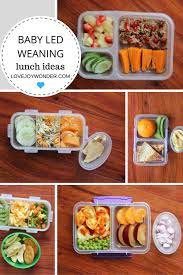 Baby Led Weaning Lunch Ideas August 17 Baby Food Recipes Baby Led Weaning Recipes Baby Led Weaning Lunch Ideas